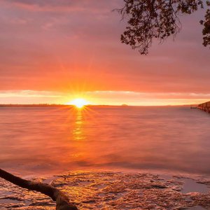 啪啪视频亚洲天堂日韩
